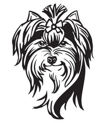 Decorative portrait of Dog Yorkshire Terrier vector illustration