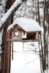 The bird feeder on the tree is covered with snow.