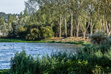 View a man fishing on lake of Pateira Fermentelos in Albergaria city, wife seating on bench looking