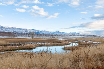 River in winter off Fish Slough Road in Bishop, California