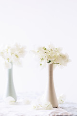 Vase with bougainvillaea flowers on the table