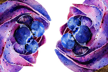 fruitcake with blueberries and cream. cake. watercolor. background