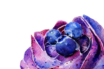 fruitcake with blueberries and cream. cake. watercolor. background