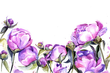 peonies watercolor. background