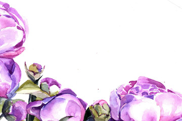 peonies watercolor. background. frame