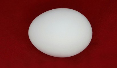 куриное яйцо