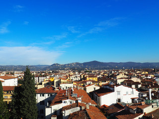 Fototapeta na wymiar Landscape of Florence with trees