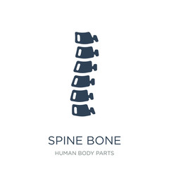spine bone icon vector on white background, spine bone trendy fi