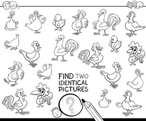 find two identical chicken pictures color book