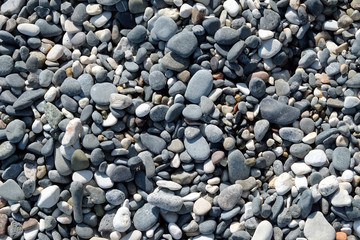 Background from many small smooth pebble stones on the sea beach on sunny day top view close-up