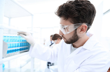 side view of focused scientist holding test tube in laboratory