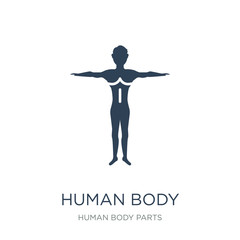 human body standing black icon vector on white background, human