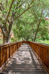 Boardwalk through rock art site in Capitol Reef National Park, Utah