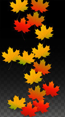 September Vector Background with Golden Falling Leaves. Autumn Illustration with Maple Red, Orange, Yellow Foliage. Isolated Leaf on Transparent Background. Bright Swirl. Suitable for Posters.
