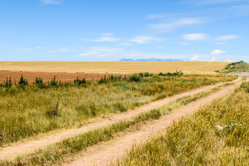 Fototapeta na wymiar Dirt road with fields in Colorado