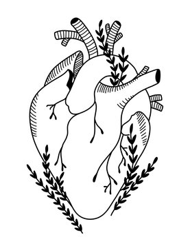 Blooming anatomical human heart
