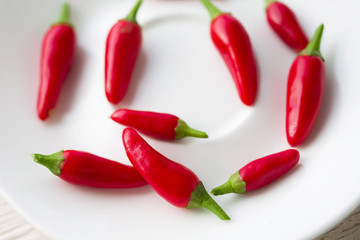 Red chili peppers in a white plate