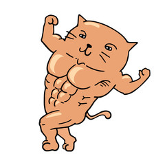 muscle cat draw