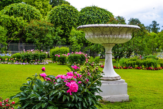 Antique vase and peonies in the city garden. Ancient greek style statue. Marble, stone material. Beautiful unique garden design. Blossoming flowers, trees, bushes. Summertime photo for print, poster