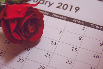 Valentines day. Red rose on Calendar page February 14 with copy space