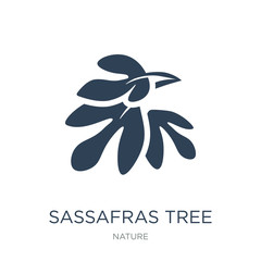 sassafras tree icon vector on white background, sassafras tree t