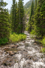 Fototapeta na wymiar Trail to Mills Lake in Rocky Mountain National Park, Colorado