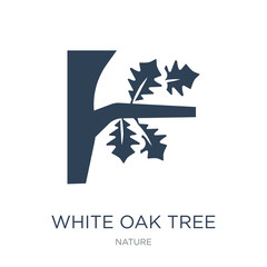 white oak tree icon vector on white background, white oak tree t