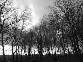La campagne hivernale en noir et blanc