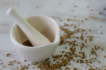 Coriander seeds in porcelain mortar