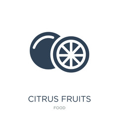 citrus fruits icon vector on white background, citrus fruits tre