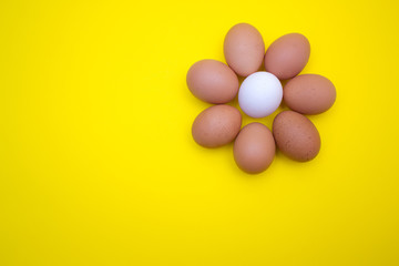 Egg, Eggs on a yellow background. Egg tray