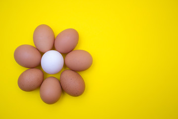 Egg, Eggs on a yellow background. Egg tray