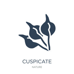 cuspicate icon vector on white background, cuspicate trendy fill