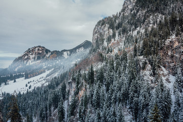 Winter coniferous forest in the Bavarian Alps