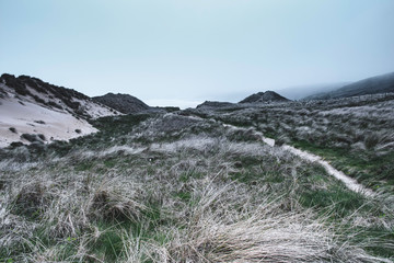 Misty morning on sand dunes in South Wales.Scenic landscape of  diverse british coastline.