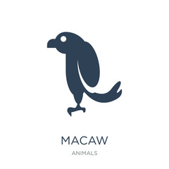 macaw icon vector on white background, macaw trendy filled icons