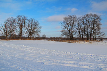 Beautiful winter landscape with trees, snow and blue sky.