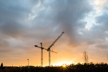 Naklejka premium cranes at the sunset in a cloudy day