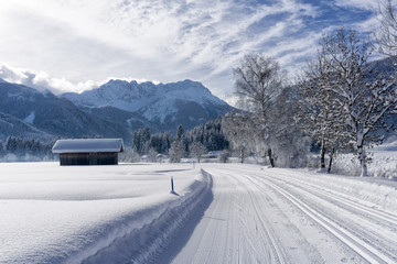 Winter mountain landscape with groomed ski track and blue sky in sunny day, snow-covered trees along the road. Ehrwald, Tirol, Alps, Austria.