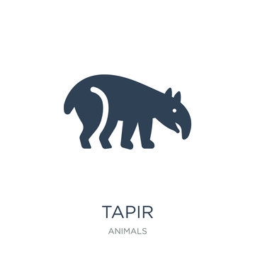 tapir icon vector on white background, tapir trendy filled icons