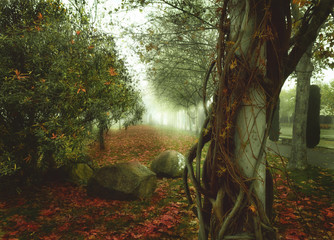 Winter landscape with fog