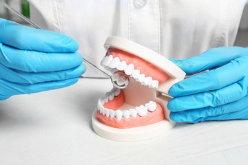 Dentist showing how to exam teeth with educational model of oral cavity and mouth mirror at table