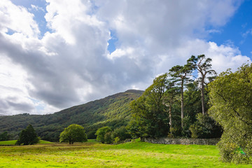 Idyllic landscape of Lake District,Cumbria,Uk.Trees, mountain, grass, blue sky with clouds.Rural scene.