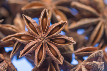 Star anise and Cinnamon sticks spice 
