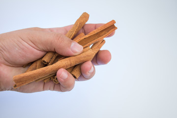 Dried cinnamon sticks