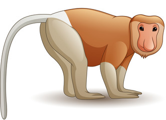 Naklejka premium Cartoon proboscis monkey