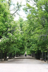 Beautiful landscape of the large gardens of the Royal Palace of La Granja de San Ildefonso, Segovia, Spain