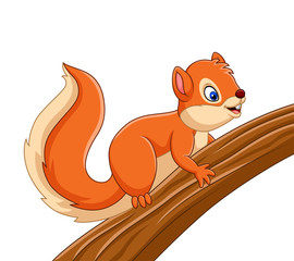 Cartoon cute squirrel on the tree © tigatelu