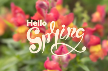 Abstract blurred defocused spring background with beautiful red flowers. Vector illustration.