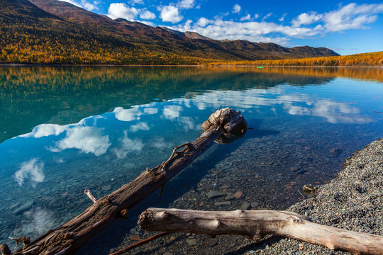 Eklutna Lake Driftwood